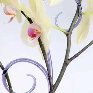Держатель для орхидей Лиана Н-61