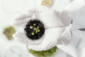 Защита растений от болезней, от сорняков и регуляторы роста