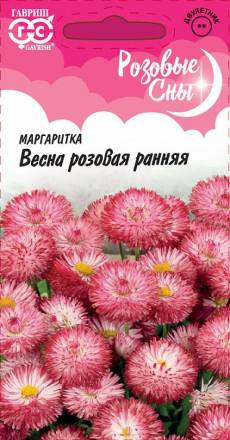 Маргаритка Весна Розовая ранняя (Гавриш)