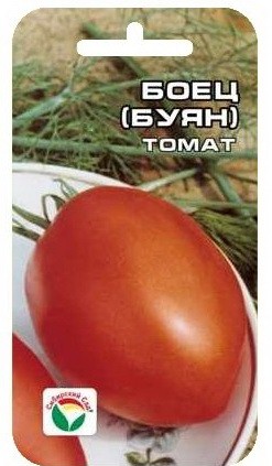 Томат Боец (Буян) (Сиб сад) Томат Боец (Буян) (Сиб сад)