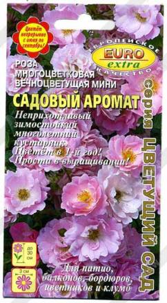 Роза Садовый аромат многоцветковая (Аэлита-экстра)