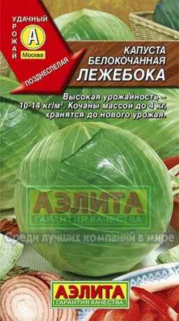 Капуста белокочанная Лежебока (Аэлита) Капуста белокочанная Лежебока (Аэлита)