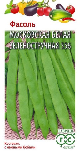 Фасоль Московская белая зеленостручная 556 кустовая (Гавриш) Фасоль Московская белая зеленостручная 556 кустовая (Гавриш)