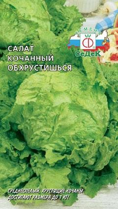 Салат Обхрустишься кочанный (СеДеК) Салат Обхрустишься кочанный (СеДеК)