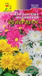Хризантема Индийская Фейерверк ЦС