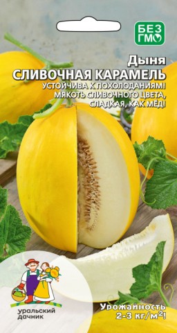 Дыня Сливочная Карамель УД