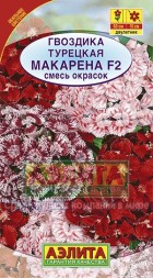 Гвоздика Макарена F2 турецкая (Аэлита)  